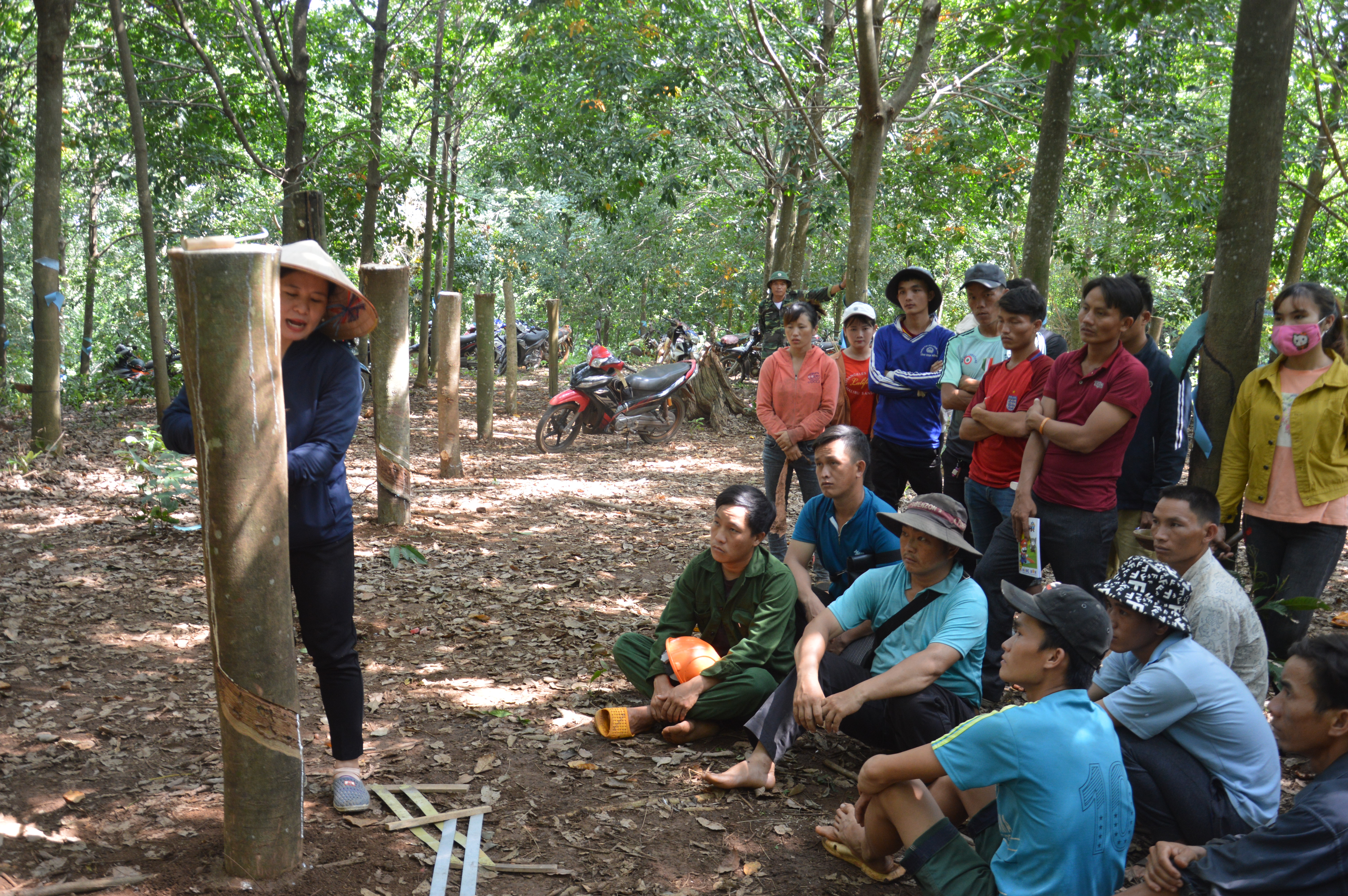 Hơn 20 mùa xuân xây miền đất mới...